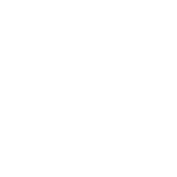 Service Icon