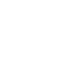 Service Icon