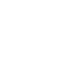 Service Icon